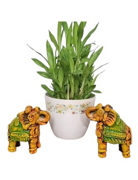 Clay Colored Elephant